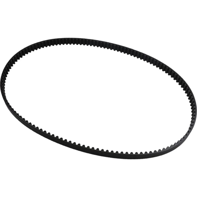 Rear Drive Belt