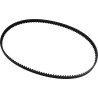 Rear Drive Belt