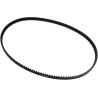 Rear Drive Belt