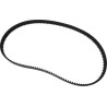 Rear Drive Belt