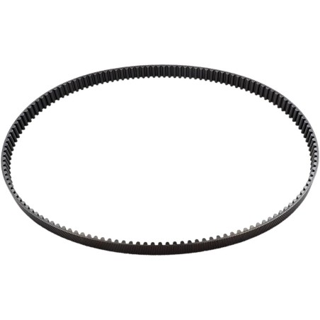 Rear Drive Belt