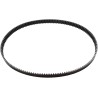Rear Drive Belt