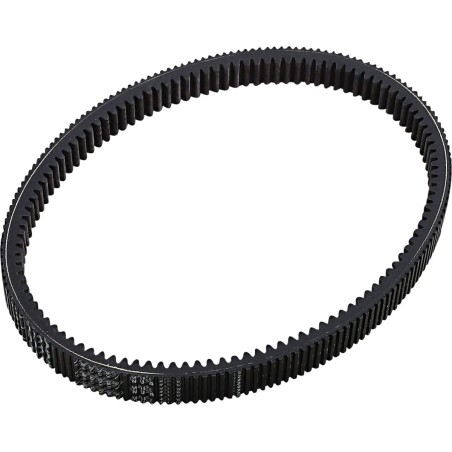Drive Belt