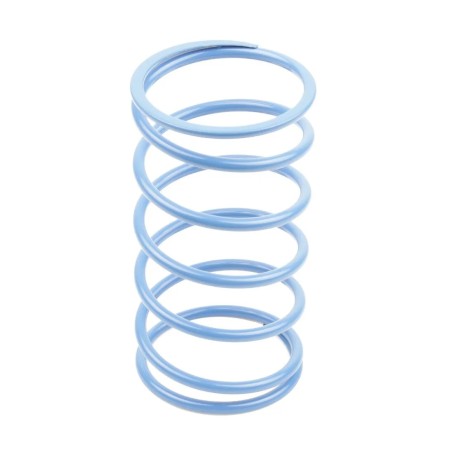 Clutch Variator Springs