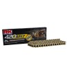 420 MXZ Drive Chain