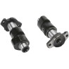 Camshaft Set