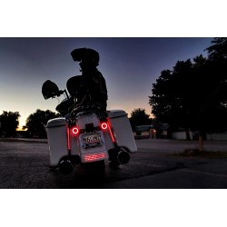 ProBEAM  Red LED Turn Signals with Red Lenses