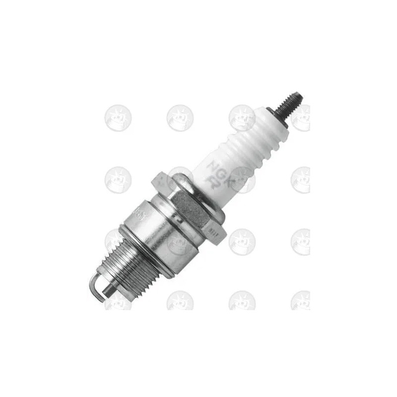 Special Spark Plug