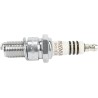 Iridium IX Spark Plug