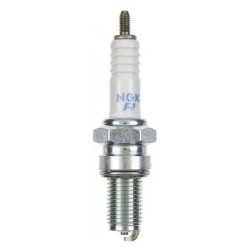 Special Spark Plug