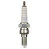Special Spark Plug