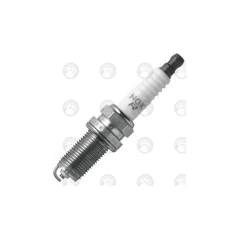 Special Spark Plug