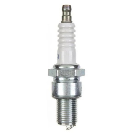 Special Spark Plug
