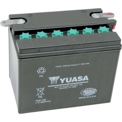 Conventional Battery