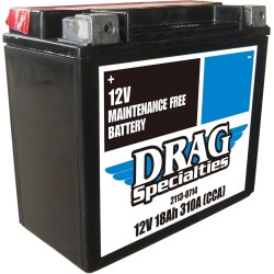 Maintenance Free Battery
