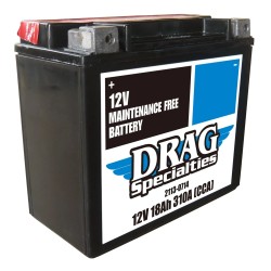 Maintenance Free Battery