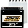 AGM Maintenance Free Batteries