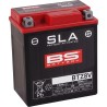SLA Factory- Activated AGM Maintenance-Free Battery