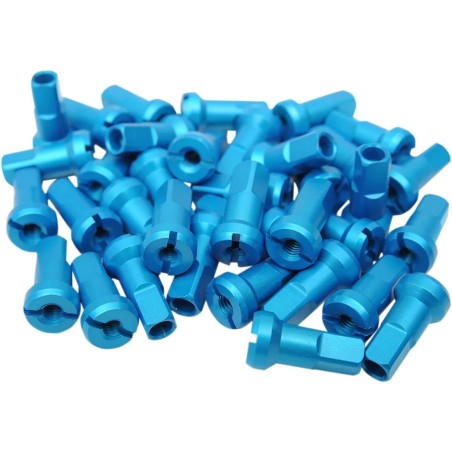 Écrous de rayon taillés dans la masse MX1