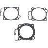 Top End Race Gasket Kit