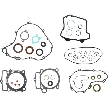 Complete Gasket Set with Oil Seals