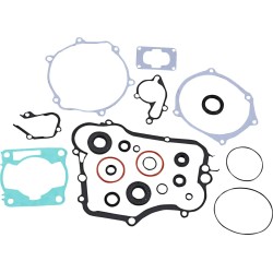 Complete Gasket Kit with Oil Seals