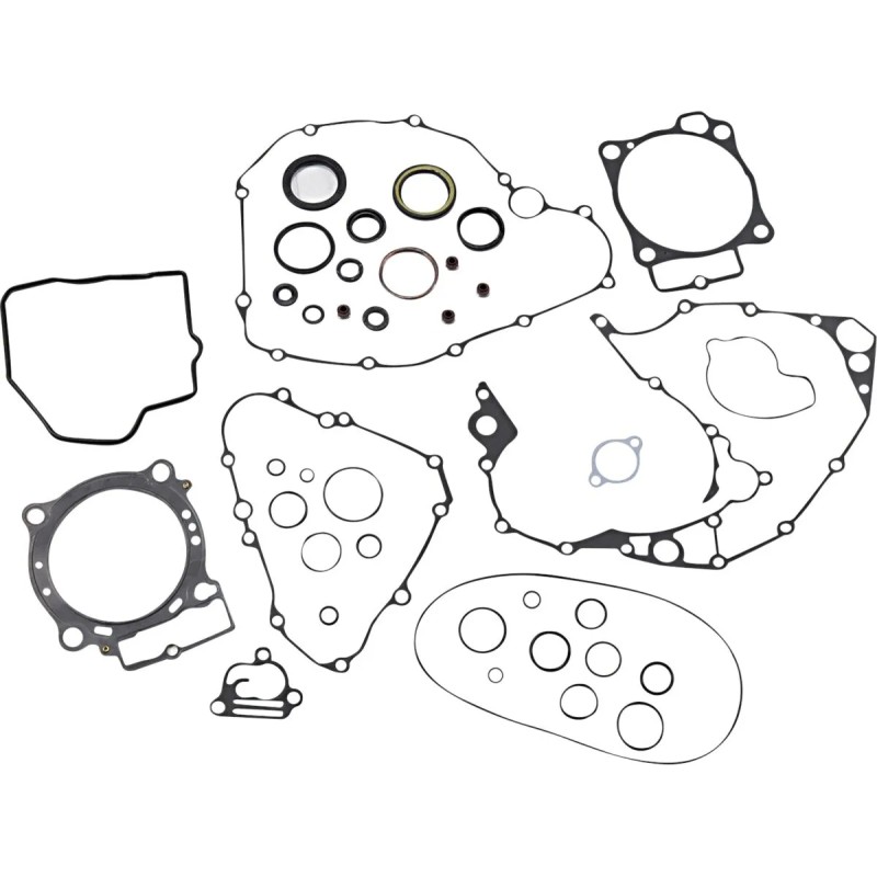 Complete Gasket Kit with Oil Seals