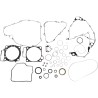 Complete Gasket Kit with Oil Seals