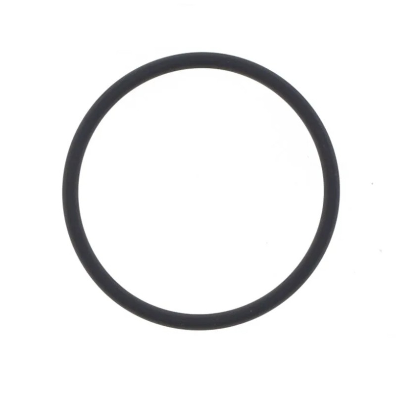 Exhaust Gasket