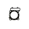 Cylinder Head Gasket