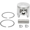 Piston Kit