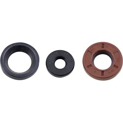Oil Seal Kit