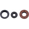 Oil Seal Kit