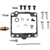 Carburetor Repair Kit