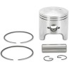 Piston Kit