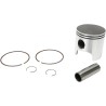 Piston Kit for 2 Stroke