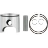 Piston Kit for 2 Stroke