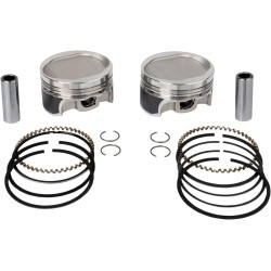 Tracker Series  Piston Kit