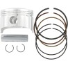 Piston Kit for 4 Stroke