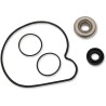 Water Pump Rebuild Kit