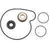 Water Pump Rebuild Kit