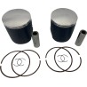 Piston Kit for 2 Stroke
