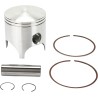Piston Kit for 2 Stroke