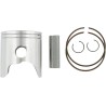 Piston Kit for 2 Stroke