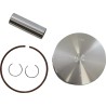 Piston Kit for 2 Stroke