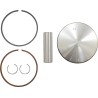 Piston Kit for 2 Stroke