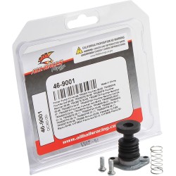 Kit de reconditionnement pour pompe de reprise de carburateur