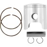 Piston Kit for 2 Stroke