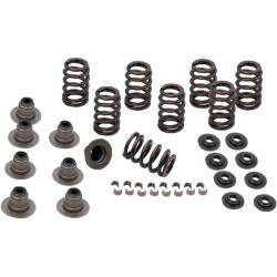 0.605  Heavy Duty Valve Spring Kit