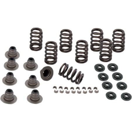 0.605  Heavy Duty Valve Spring Kit